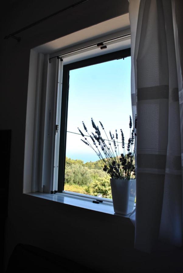 Monika Lefkada Hotel Tsoukaládhes Buitenkant foto
