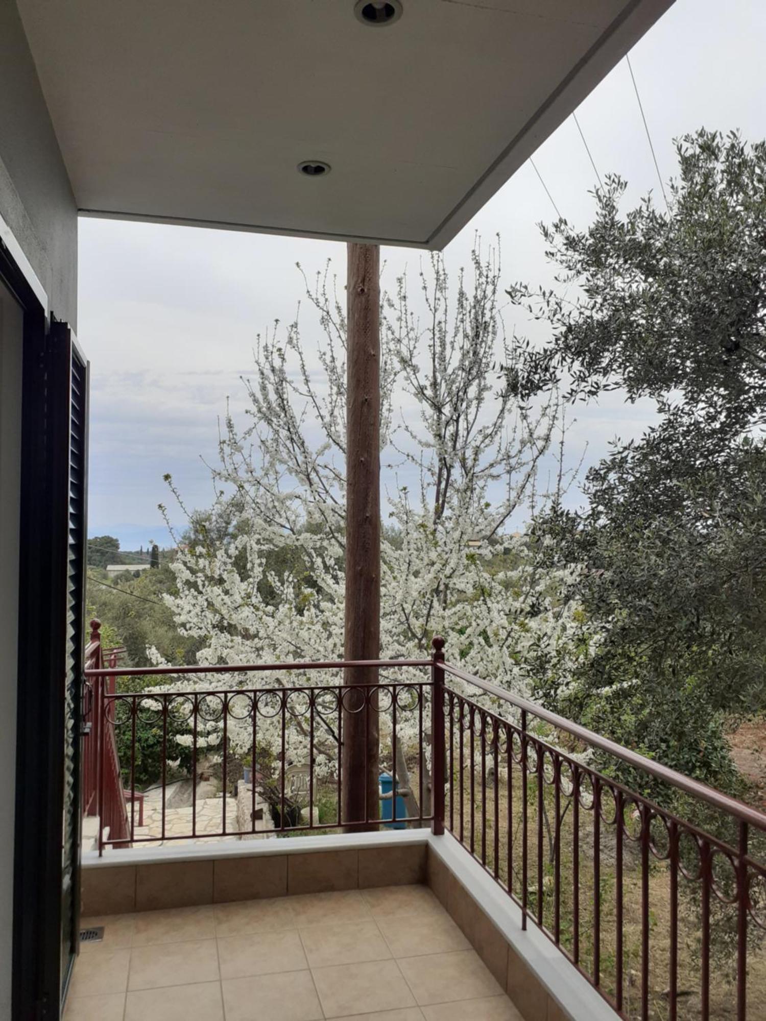 Monika Lefkada Hotel Tsoukaládhes Buitenkant foto